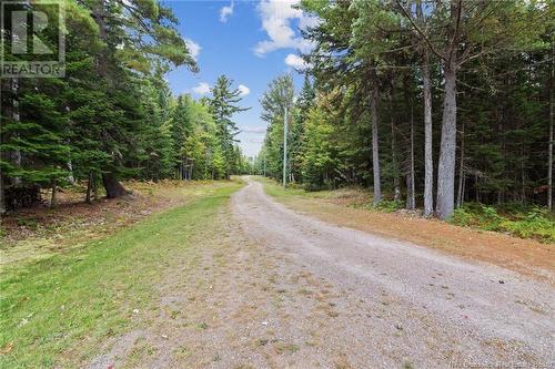 1276 Cox Point Road, Cumberland Bay, NB 