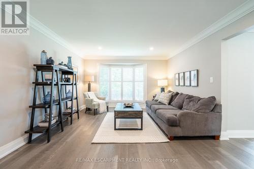 81 Flanders Drive, Hamilton, ON - Indoor Photo Showing Living Room