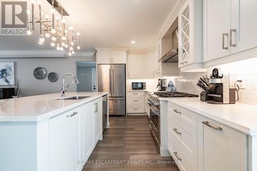 81 Flanders Drive, Hamilton, ON - Indoor Photo Showing Kitchen With Upgraded Kitchen