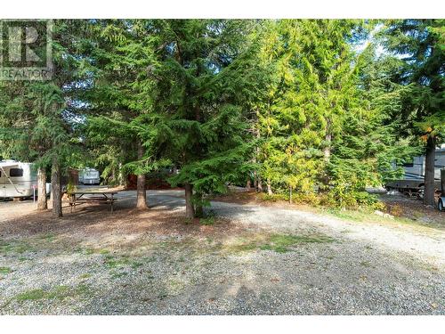 3499 Luoma Road Road Lot# 9, Malakwa, BC 