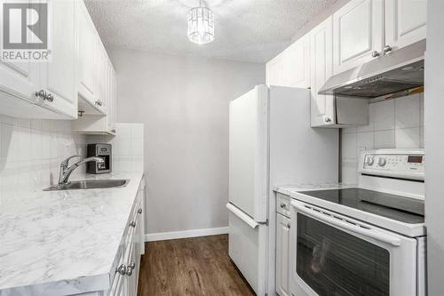 236, 820 89 Avenue Sw, Calgary, AB - Indoor Photo Showing Kitchen