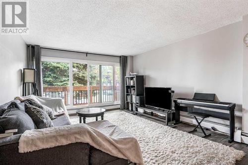 236, 820 89 Avenue Sw, Calgary, AB - Indoor Photo Showing Living Room