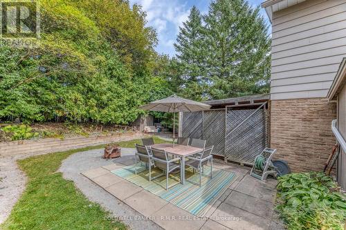 249 Lloyd Avenue, Newmarket (Central Newmarket), ON - Outdoor