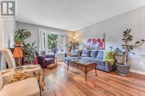 249 Lloyd Avenue, Newmarket (Central Newmarket), ON - Indoor Photo Showing Living Room