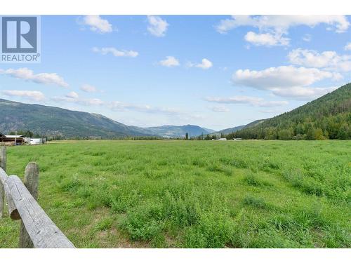 515 Dogwood Avenue, Sicamous, BC - Outdoor With View