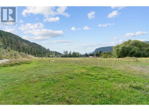 515 Dogwood Avenue, Sicamous, BC - Outdoor With View