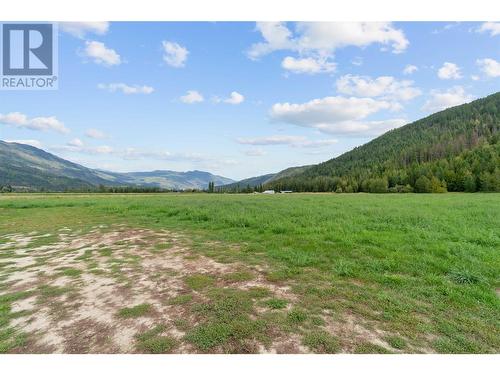 515 Dogwood Avenue, Sicamous, BC - Outdoor With View