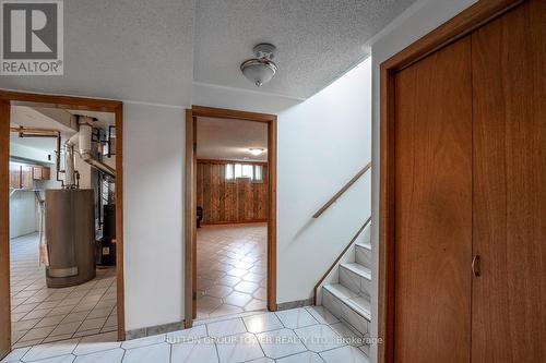 328 Hullmar Drive, Toronto (Black Creek), ON - Indoor Photo Showing Other Room