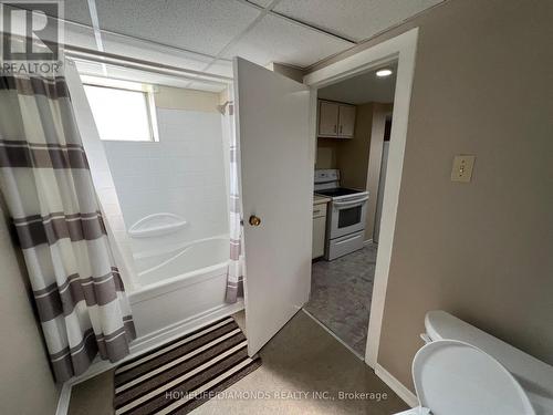 Bsmt - 87 Raylawn Crescent, Halton Hills, ON - Indoor Photo Showing Bathroom