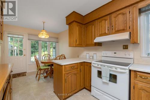 152 Elmore Drive, Halton Hills (Acton), ON - Indoor Photo Showing Kitchen