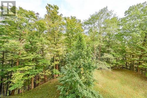 Treed area - 1968 Main Street W Unit# 401, Hamilton, ON - Outdoor