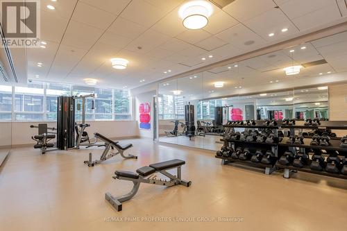 2003 - 25 Broadway Avenue, Toronto (Mount Pleasant West), ON - Indoor Photo Showing Gym Room