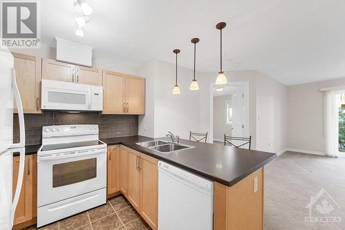 141 Potts Private Unit#307, Ottawa, ON - Indoor Photo Showing Kitchen With Double Sink