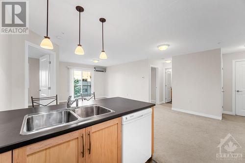 141 Potts Private Unit#307, Ottawa, ON - Indoor Photo Showing Kitchen With Double Sink