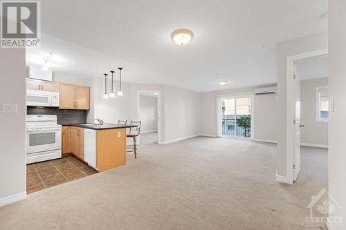 141 Potts Private Unit#307, Ottawa, ON - Indoor Photo Showing Kitchen