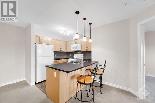 141 Potts Private Unit#307, Ottawa, ON - Indoor Photo Showing Kitchen With Double Sink