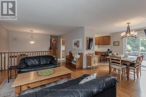 18 Ilona Court, Brant, ON - Indoor Photo Showing Living Room