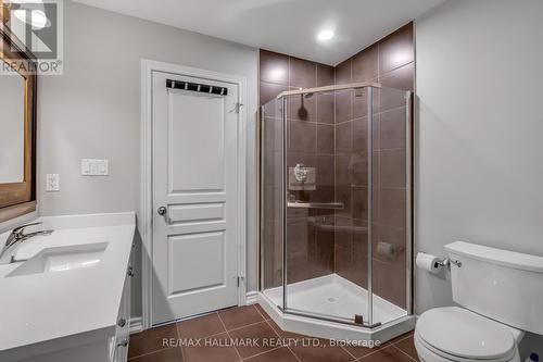 260 Fall Fair Way, Hamilton (Binbrook), ON - Indoor Photo Showing Bathroom