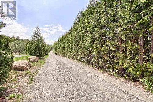 2705 14Th Line, Innisfil, ON - Outdoor