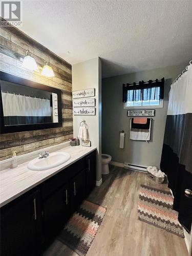 195 Main Street, Point Leamington, NL - Indoor Photo Showing Bathroom