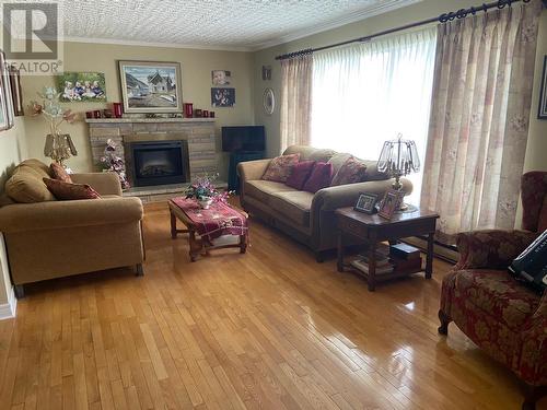 25 Dorchester Avenue, Corner Brook, NL - Indoor Photo Showing Living Room With Fireplace