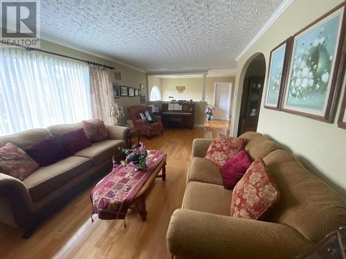 25 Dorchester Avenue, Corner Brook, NL - Indoor Photo Showing Living Room