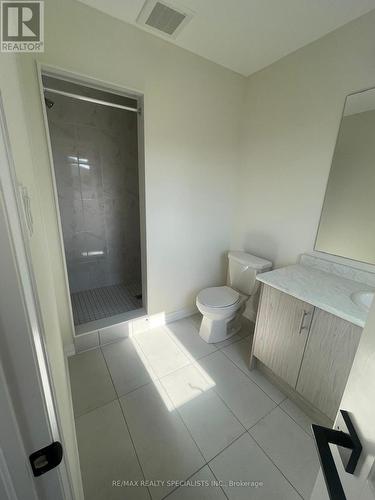 32 Molnar Crescent, Brantford, ON - Indoor Photo Showing Bathroom