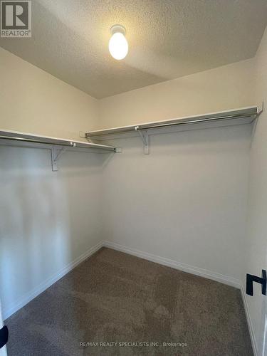 32 Molnar Crescent, Brantford, ON - Indoor With Storage