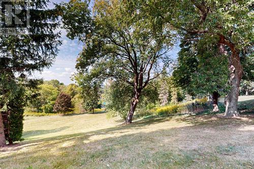 14 Hi View Drive, East Gwillimbury (Mt Albert), ON - Outdoor With View