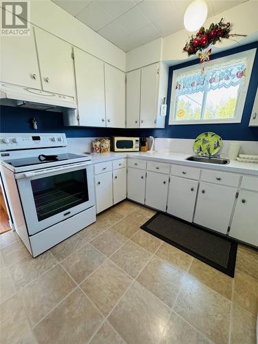 246 Main Street, Norris Arm North, NL - Indoor Photo Showing Kitchen With Double Sink