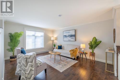 28 Willenhall Place, St. John'S, NL - Indoor Photo Showing Living Room