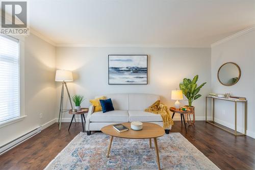 28 Willenhall Place, St. John'S, NL - Indoor Photo Showing Living Room