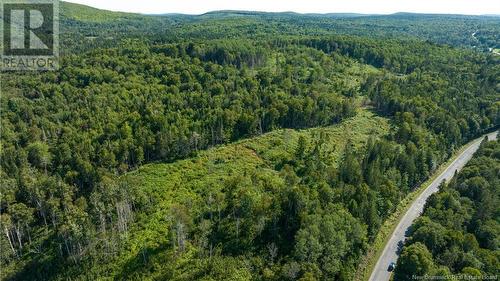 Lot Damascus Road, Smithtown, NB 