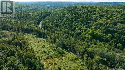 Lot Damascus Road, Smithtown, NB 