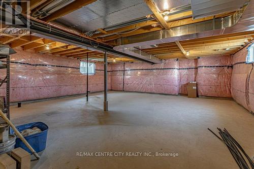 1255 Emma Chase Drive, London, ON - Indoor Photo Showing Basement