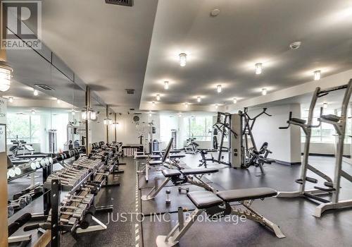 810 - 397 Front Street W, Toronto, ON - Indoor Photo Showing Gym Room