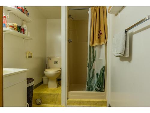 643 11Th Avenue, North Castlegar, BC - Indoor Photo Showing Bathroom