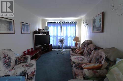 25 Garden Road, Deer Lake, NL - Indoor Photo Showing Living Room