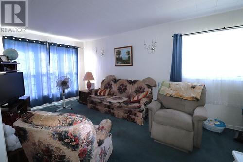 25 Garden Road, Deer Lake, NL - Indoor Photo Showing Living Room