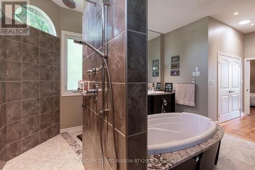 2529 Napperton Drive, Adelaide Metcalfe, ON - Indoor Photo Showing Bathroom