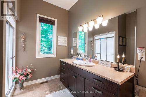 2529 Napperton Drive, Adelaide Metcalfe, ON - Indoor Photo Showing Bathroom