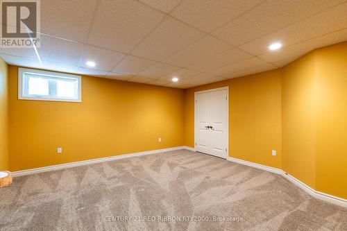 2529 Napperton Drive, Adelaide Metcalfe, ON - Indoor Photo Showing Basement