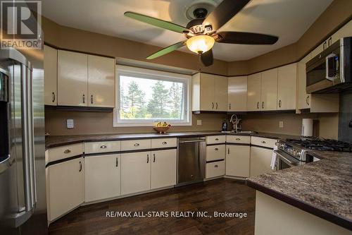 69 County Rd 121, Kawartha Lakes (Fenelon Falls), ON - Indoor Photo Showing Kitchen With Double Sink