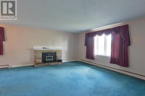 6 Boyle Street, St. John'S, NL - Indoor Photo Showing Other Room With Fireplace