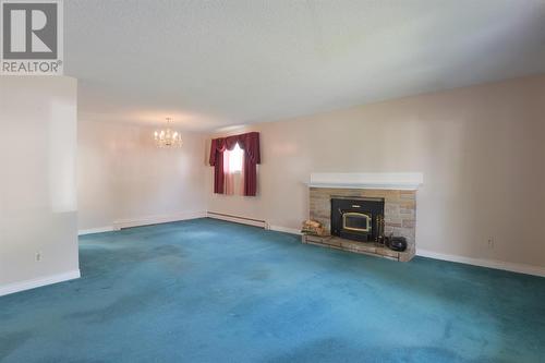 6 Boyle Street, St. John'S, NL - Indoor With Fireplace