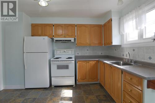 6 Boyle Street, St. John'S, NL - Indoor Photo Showing Kitchen