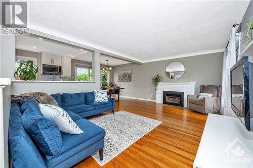 1142 Sherman Drive, Ottawa, ON - Indoor Photo Showing Living Room With Fireplace