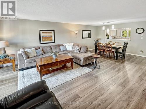 6 - 179 Herchimer Avenue, Belleville, ON - Indoor Photo Showing Living Room