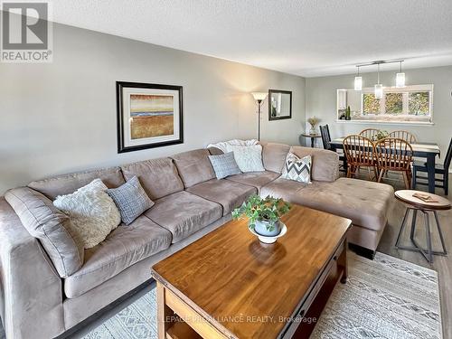 6 - 179 Herchimer Avenue, Belleville, ON - Indoor Photo Showing Living Room