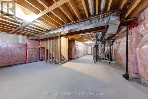 343 Luck Court, Newmarket (Woodland Hill), ON - Indoor Photo Showing Basement